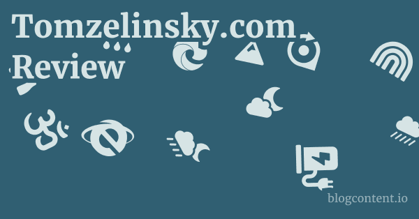 Tomzelinsky.com Review 1 by Partners