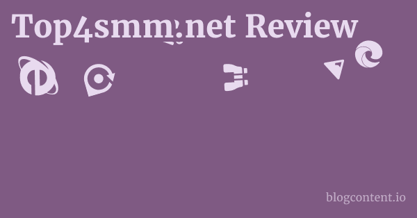Top4smm.net Review 1 by Partners