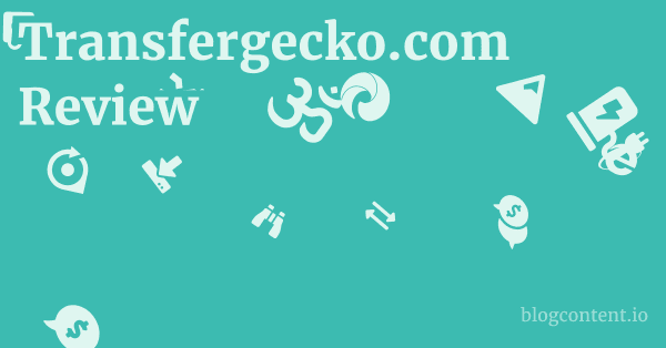 Transfergecko.com Review 1 by Partners