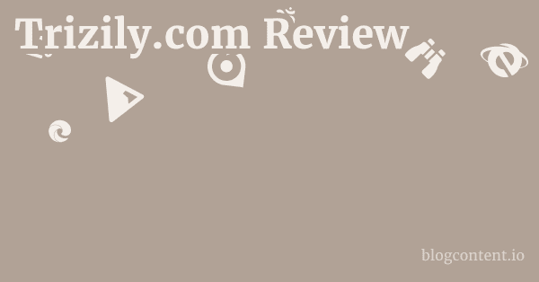 Trizily.com Review 1 by Partners
