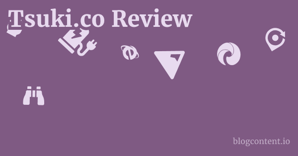 Tsuki.co Review 1 by Partners