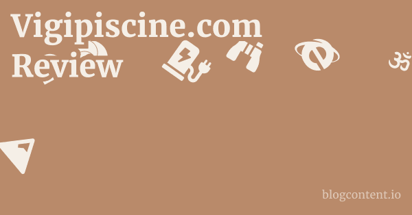Vigipiscine.com Review 1 by Partners