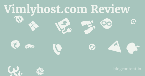 Vimlyhost.com Review 1 by Partners