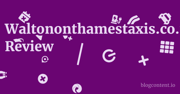 Waltononthamestaxis.co.uk Review 1 by Partners