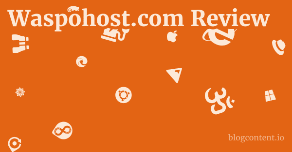 Waspohost.com Review 1 by Partners