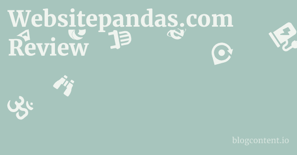 Websitepandas.com Review 1 by Partners
