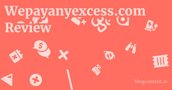 Wepayanyexcess.com Review 1 by Partners