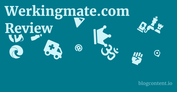 Werkingmate.com Review 1 by Partners