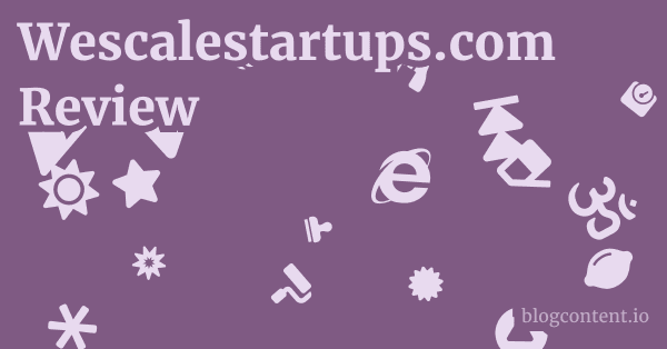 Wescalestartups.com Review 1 by Partners