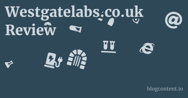 Westgatelabs.co.uk Review 1 by Partners