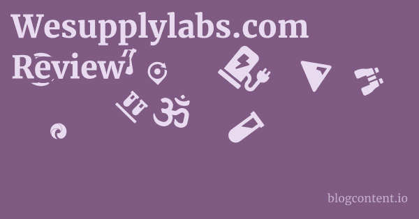 Wesupplylabs.com Review 1 by Partners