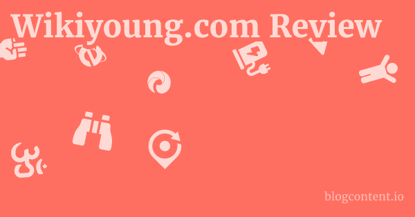 Wikiyoung.com Review 1 by Partners