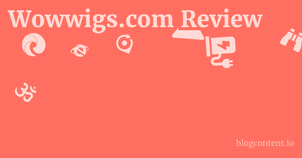 Wowwigs.com Review 1 by Partners