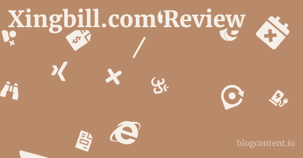 Xingbill.com Review 1 by Partners